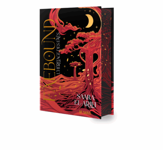 Faebound, tome 1 : L'héritage des faës (Relié)