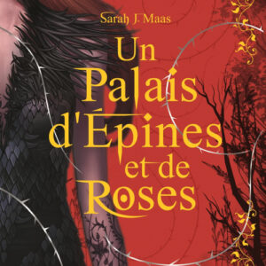 Un palais d'épines et de roses, tome 1 (Relié)