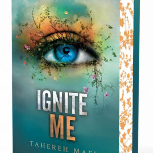 Insaisissable, tome 3 : Ne m'abandonne pas